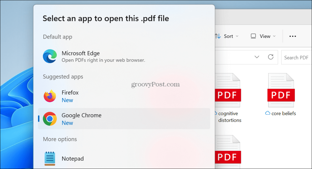 Visionneuse PDF par défaut sur Windows 11
